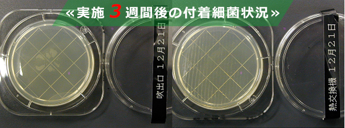 抗菌剤　実施試験　付着細菌状況